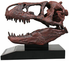 Tyrannosaurus Skull 1/10th Scale Smithsonian Licensed - The Nation's T.rex picture