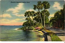 Vintage Postcard- Indian River, FL picture