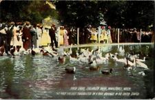 1910. FAIR LAKE. CALHOUN FAIR, MARSHALL, MICHIGAN. POSTCARD. PL2 picture