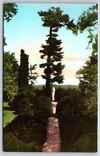 Evergreen Garden, Ash Lawn, Charlottesville, Virginia Vintage Postcard picture