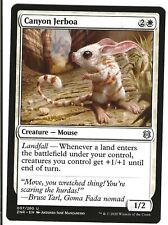 Mtg Canyon Jerboa picture