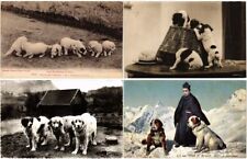 DOGS DOGS CHIENS 42 Vintage Postcards Mostly Pre-1950 (L4428) picture