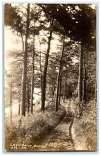 c1940's Lake Drive Trees Scene Hak Bemidji Minnesota MN RPPC Photo Postcard picture