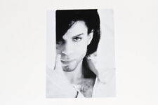 Prince Rogers Nelson Photo Photographer #g picture