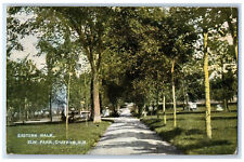 1907 Eastern Walk Elm Park Chatham New Brunswick Canada Antique Posted Postcard picture