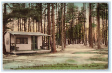 Looking Through The Pines The Narrows House View Webster MA Handcolored Postcard picture