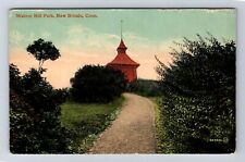 New Britain CT-Connecticut, Walnut Hill Park, Antique Souvenir Vintage Postcard picture