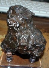 656 GM.  CAMPO DEL CIELO METEORITE ;AA A GRADE LARGE METEORITE SILICATED 1.4 LBS picture