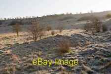 Photo 6x4 Plague Pit SSE of St Catherine's Hill Winchester This small mou c2009 picture
