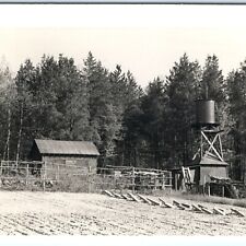 Vtg Mulligans Creek Homestead Real Photo Water Tower Farm Shack Forest Woods C47 picture