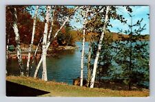 White Lake Ontario- Canada, Pickerel Bay Lodge, Antique, Vintage c1972 Postcard picture