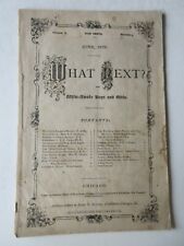 What Next? for Wide Awake Boys & Girls booklet June 1873 booklet picture