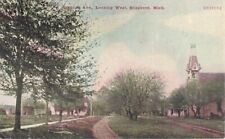 Grehard Ave., Looking West, Shepherd, Michigan, Posted 1908 picture