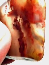 Utah Petrified Wood Fossil Translucent Inclusions W Vivid Red Wisps Display Qlty picture