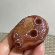 56g natural Bonsai Suiseki-Natural Gobi Agate Eyes Stone-Rare Stunning Viewing picture