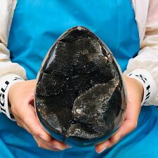 2220g Natural Turtle Back Stone Egg Shape Dragon Crystal Crack Gem Reiki 1114 picture