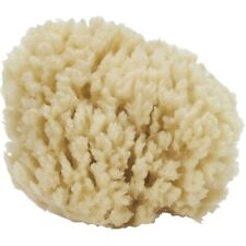 Natural Sea Wool Cut Sponge 3-3.5