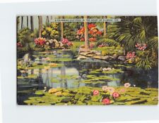 Postcard A Charming Lily Pool in the Heart of Florida USA picture