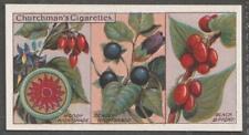 Churchman's Boy Scout card, A Series, 1916, No 35, Some Poisonous Berries picture