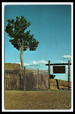 Wyoming Tree in the Rock Postcard Hwy 30 and interstate 80 Posted 1970     pc290 picture