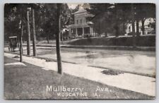 Muscatine IA Mullberry Ave Horse Carriage Homes Iowa Postcard C49 picture