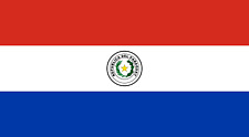 Paraguay Flag Country 4