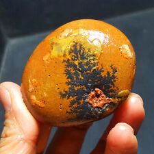 BEST HOT86.2G Natural Gobi  tree agate  China Mongolia  5372+ picture
