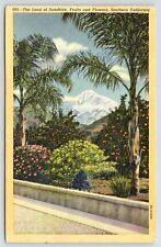 Southern California~Corcoran PM~Mountain Fruits Flowers~1939 Linen~Inez Kreider picture