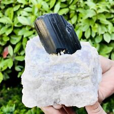 2.66LB Natural black tourmaline and quartzite symbiotic mineral specimen picture