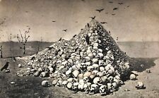 1900s Mountain Skulls Apotheosis of War B&W ANTIQUE CARD picture