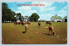 Vintage Postcard Greetings from Seney MI House Farm Barn Ag Vacationland Q31 picture
