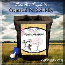 Biodegradable Urn for Pet Ashes Alternative | SOIL Cremation Mixture : Medium picture