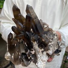 3.5lb Large Natural Black Smoky Quartz Crystal Cluster Raw Mineral Specimen picture