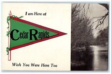 c1910 I Am Here At Cedar Rapids Iowa IA Wish You Were Here Too Unposted Postcard picture
