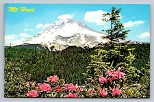 Postcard Oregon Mount Hood Rhododendrons Chrome Unposted  F731 picture