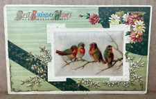 Postcard Happy Birthday c1914 Green Embossed Textile Colorful Birds Vintage picture