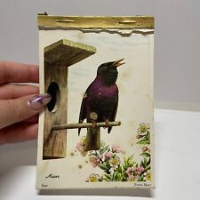 Vintage Franz Murr European Bird Post Card Booklet Stationary Birding Collector picture