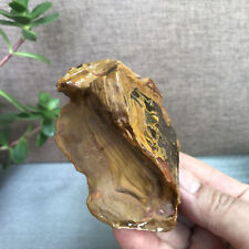 229g Bonsai Suiseki-Natural Gobi Agate Eyes Stone-Rare Stunning Viewing A1197 picture