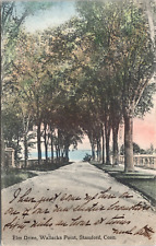 c1907 Stamford CT Elm Drive Street View Wallacks Point Connecticut Postcard 46b picture