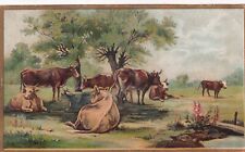 1800s Victorian Trade Card -Cows Out to Pasture - #b1 picture