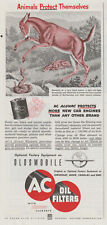 1954 AC Oil Filters - Automotive - Mama Deer Stomps Rattlesnake - Print Ad Art picture