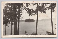 Lake Spofford New Hampshire, The Island, Vintage Postcard picture