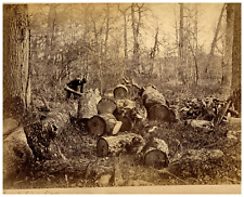 Constant Alexandre Famin, the cutting of wood in winter, forest of Fontainebleau. Wine picture