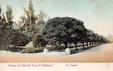 Los Angeles CA California Early 1900s Umbrella Trees Mansion Vtg Postcard W4 picture
