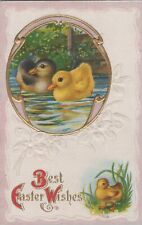 Postcard Best Easter Wishes Baby Ducklings  picture