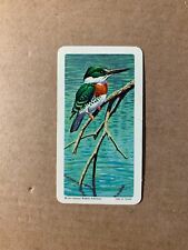 1964 Red Rose Tea Tropical Birds Black Back Green Kingfisher 22 picture