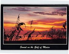 Postcard Sunset on the Gulf of Mexico Florida USA picture