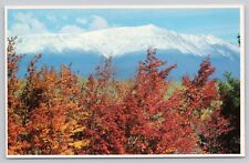 Mt Katahdin Maine, Autumn Glory, Foliage, Vintage Postcard picture