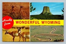 Postcard Howdy From Wonderful Wyoming picture