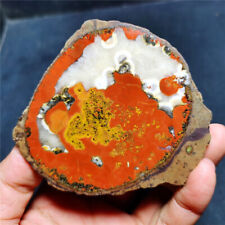 RARE 294.3g Natural Warring States Red Agate Crystal Healing 34A60+ picture
